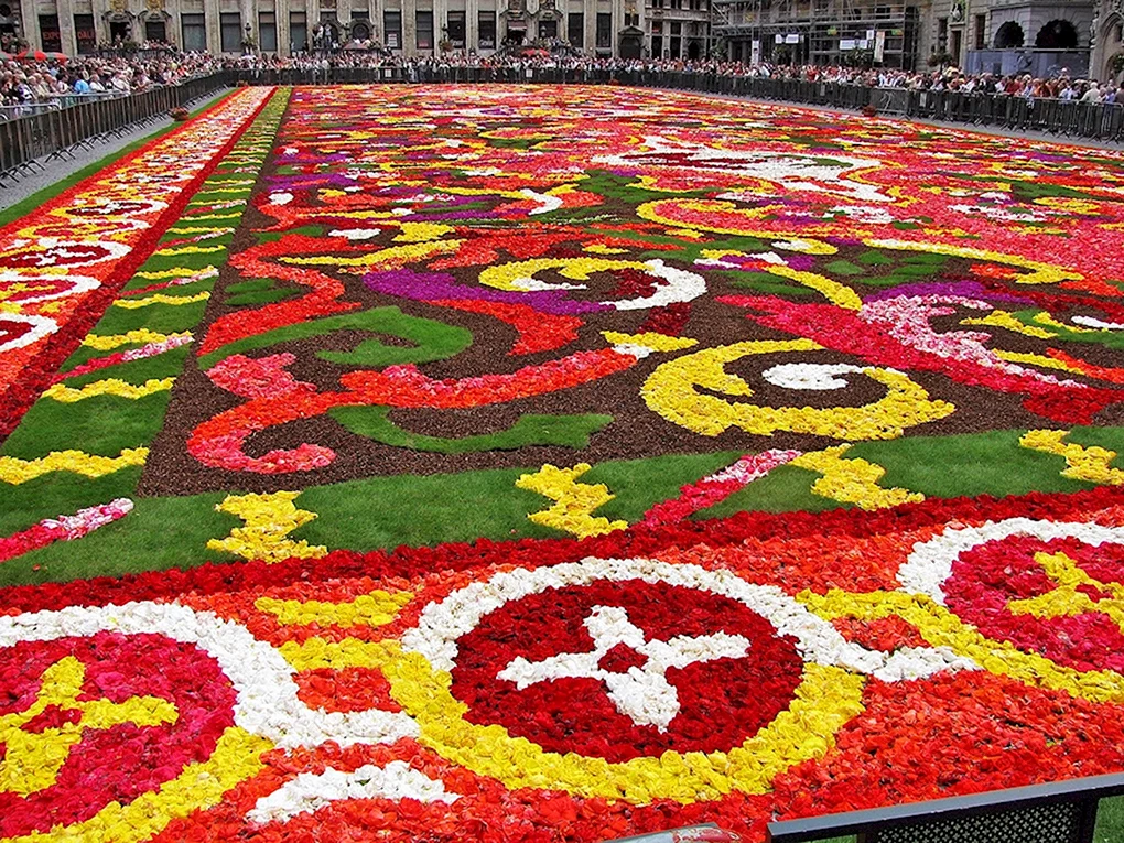 Фестиваль цветочный ковер Flower Carpet Брюссель Бельгия.
