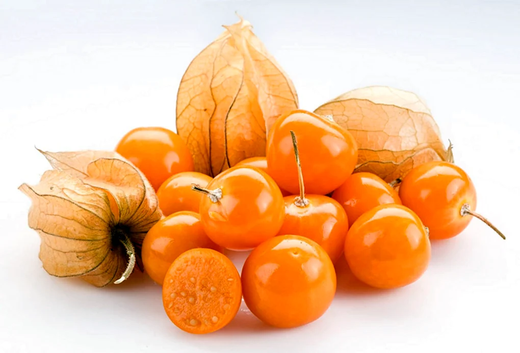 Физалис artfruit