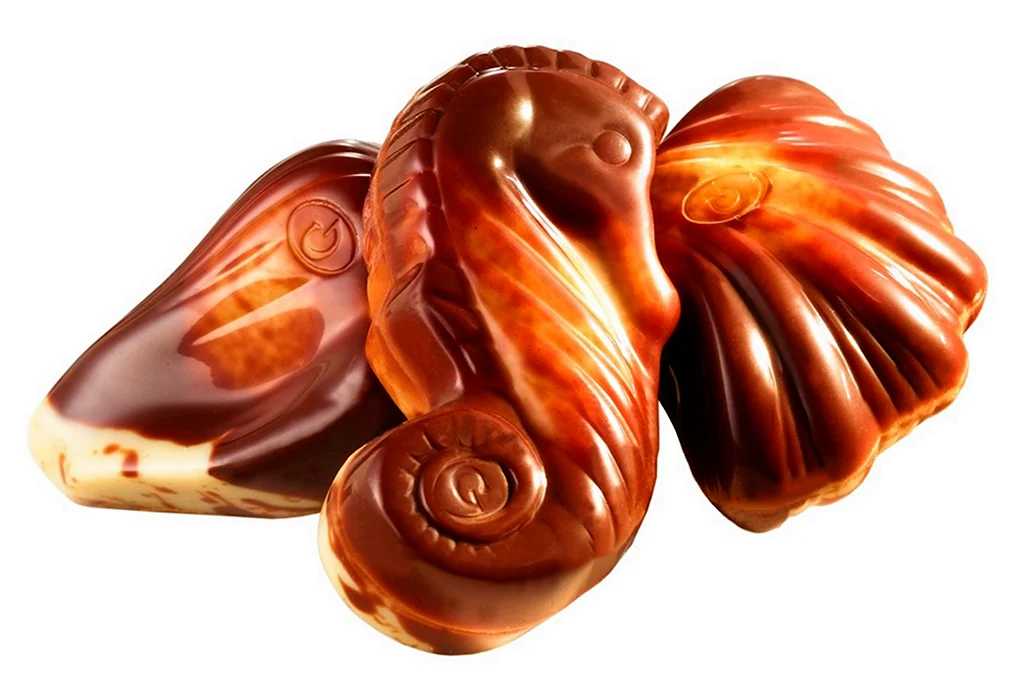 Guylian Belgian Chocolate