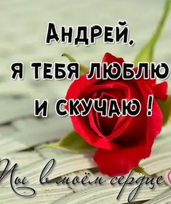 Я люблб т Ен бя АН Д Рей