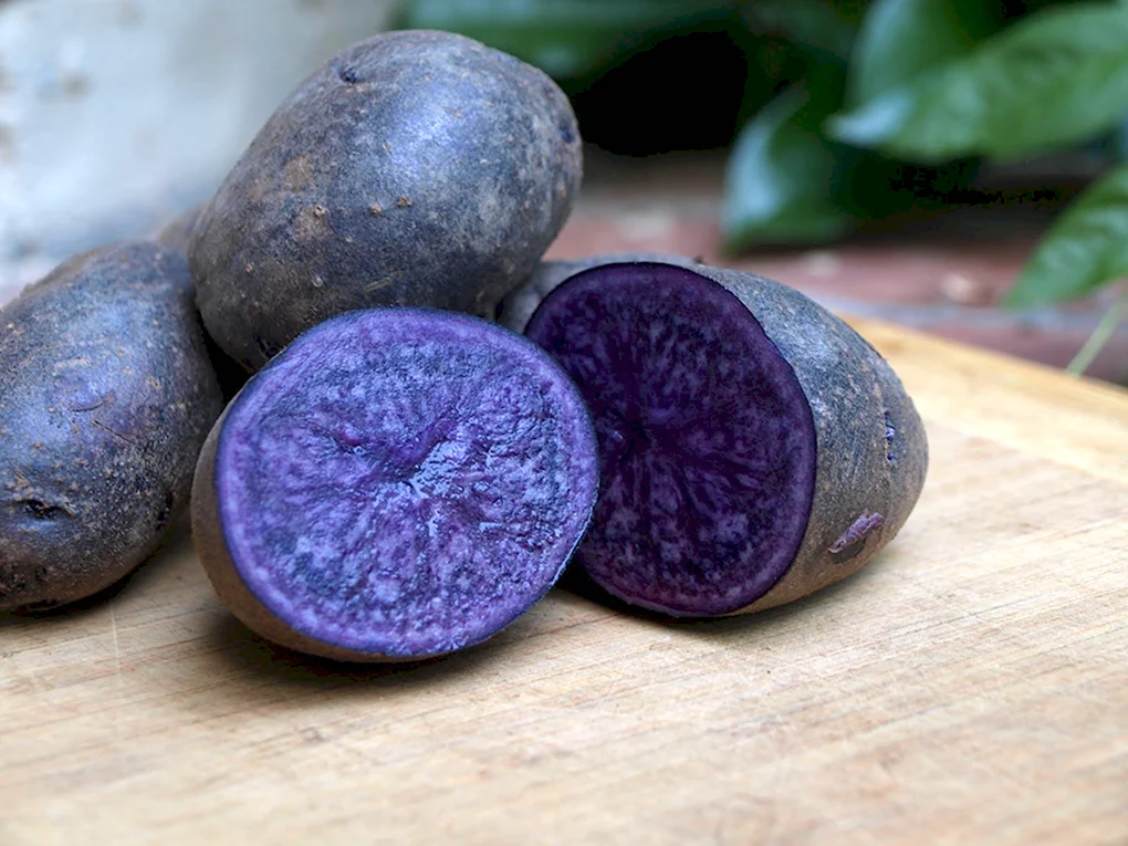 Картофель Purple Majesty