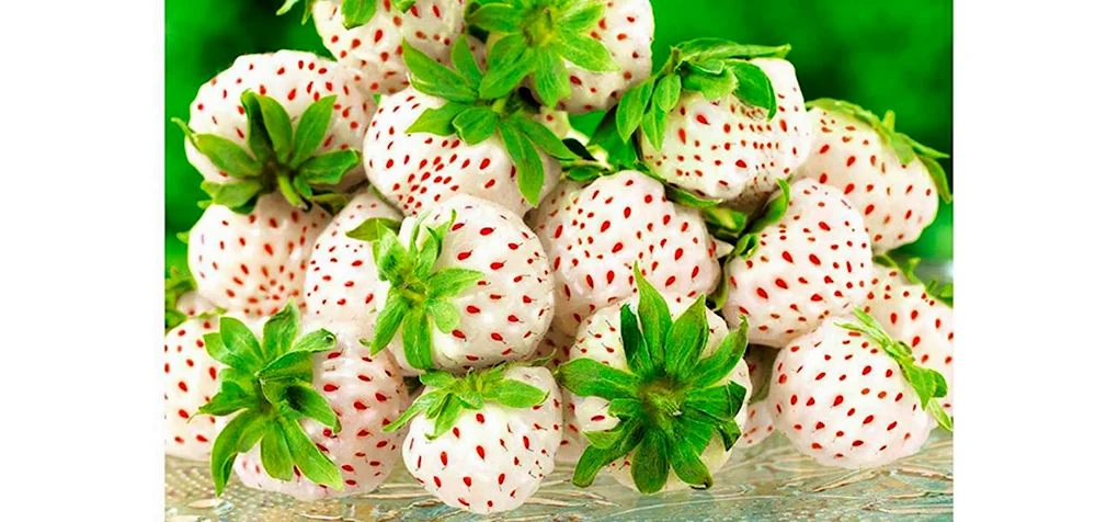 Клубника Ананасная