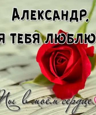 Люблю тебя Александр