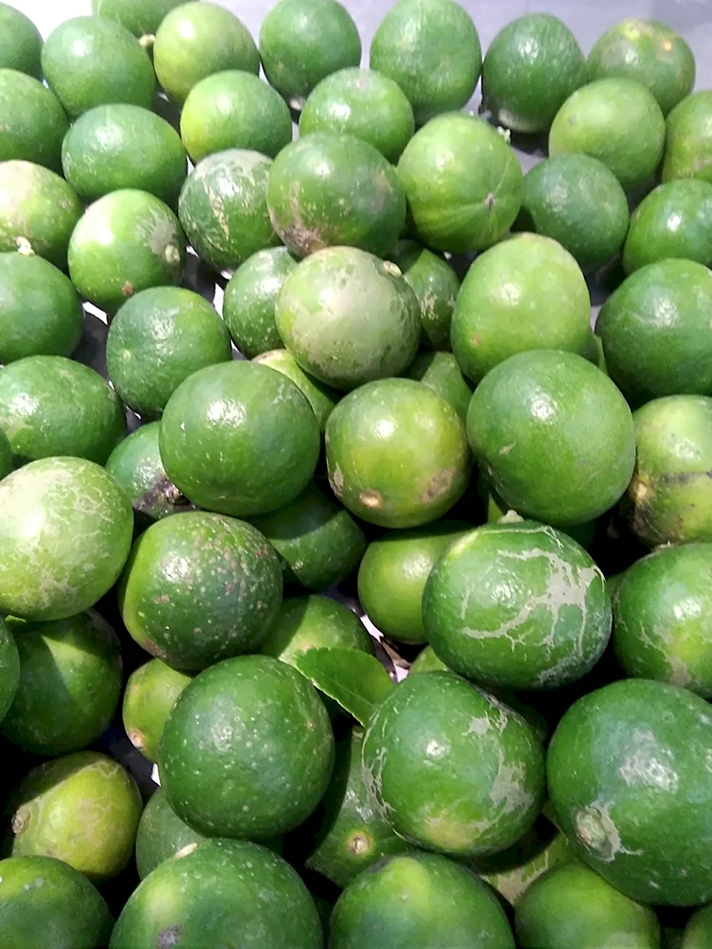 Маленький зеленый фрукт
