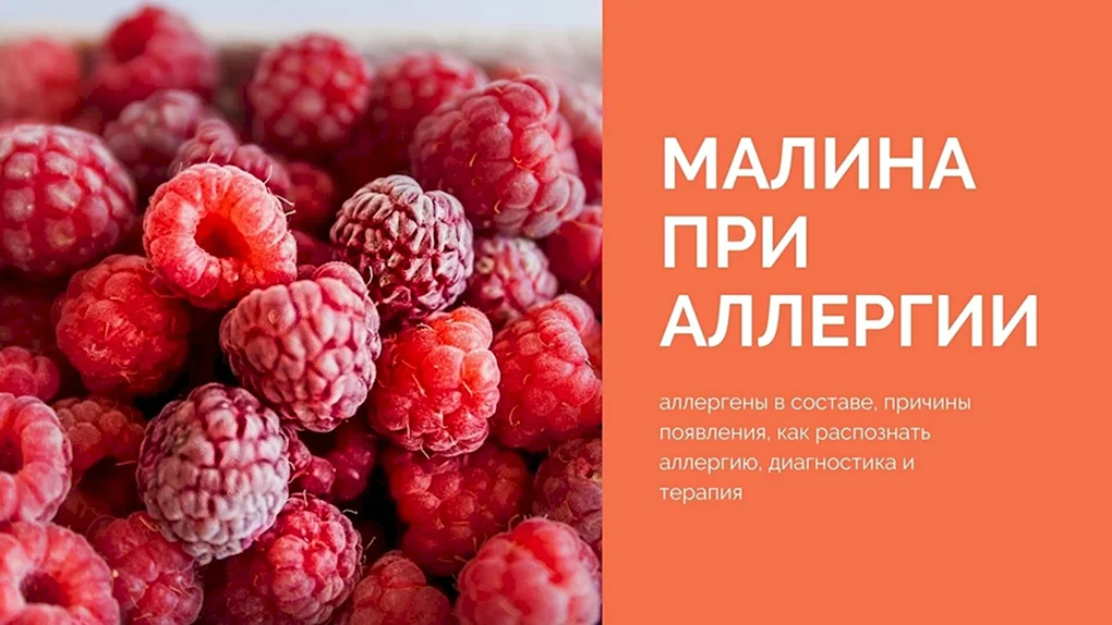 Малина аллергенная