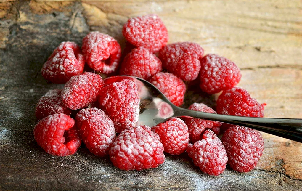 Малина Грис