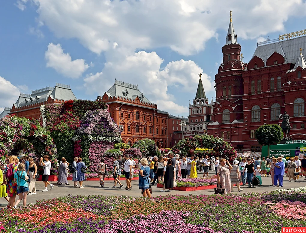 Манежная площадь цветочный джем