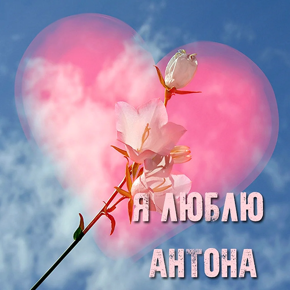 Открытка я тебя люблю