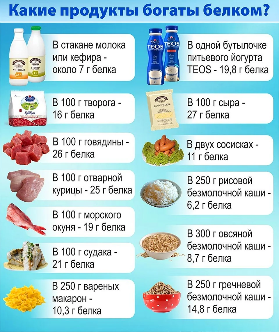 Перечень продуктов содержащих белок