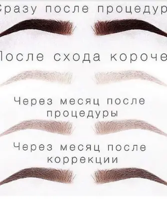 Перманент бровей этапы заживления