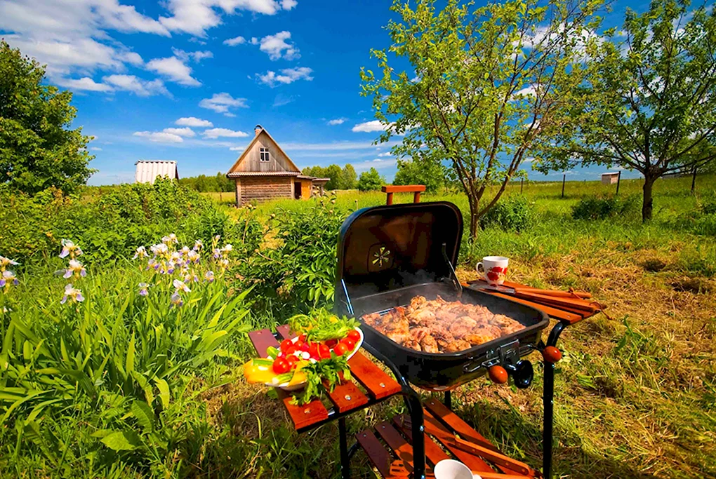 Пикник на природе