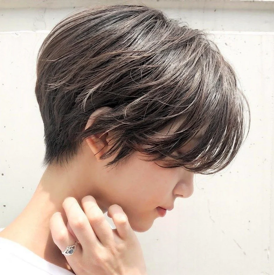 Pixie Bob стрижка Корея