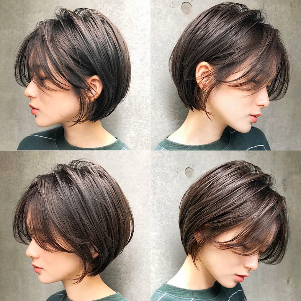 Pixie Bob стрижка Корея