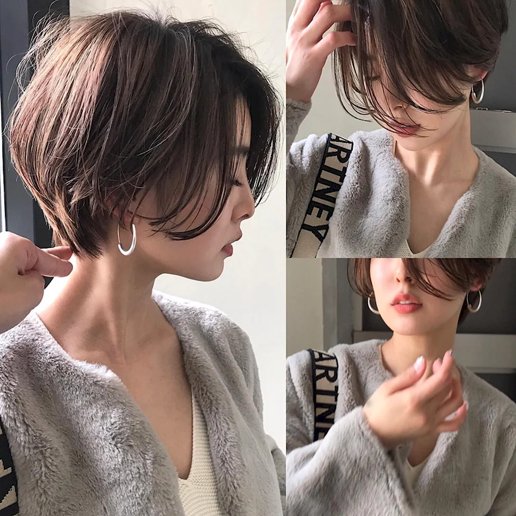Pixie Bob стрижка Корея