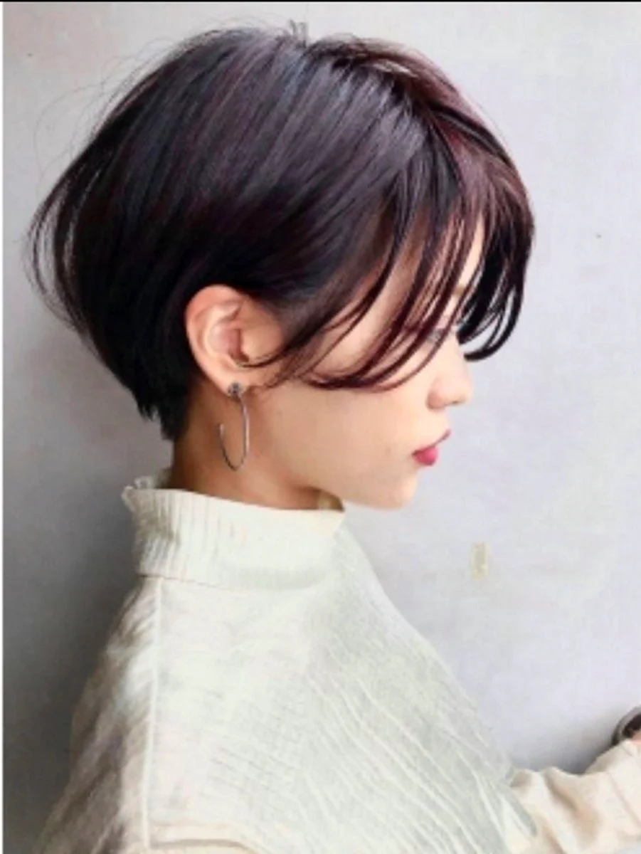 Pixie Bob стрижка Корея