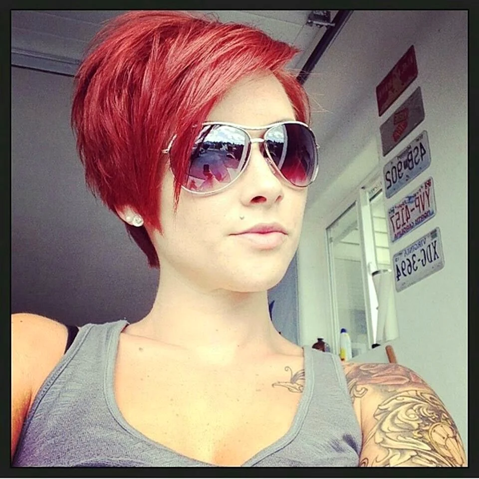 Pixie Bob стрижка красный
