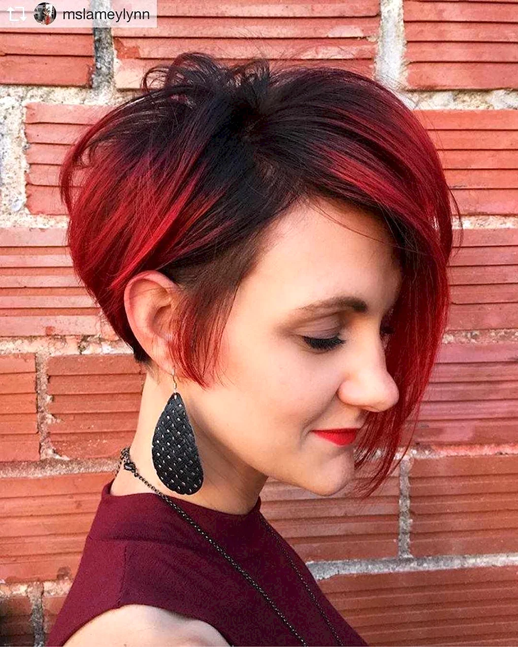 Pixie Bob стрижка красный