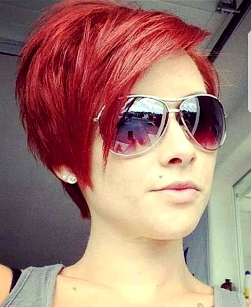 Pixie Bob стрижка красный