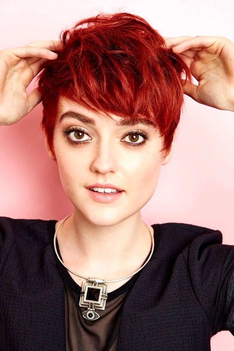 Pixie Bob стрижка красный