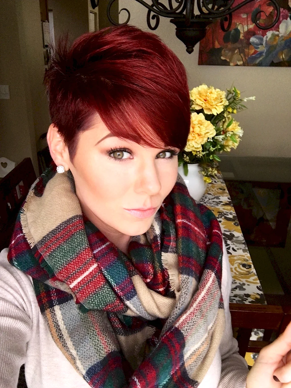 Pixie Bob стрижка красный