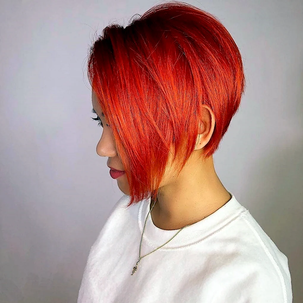 Pixie Bob стрижка красный