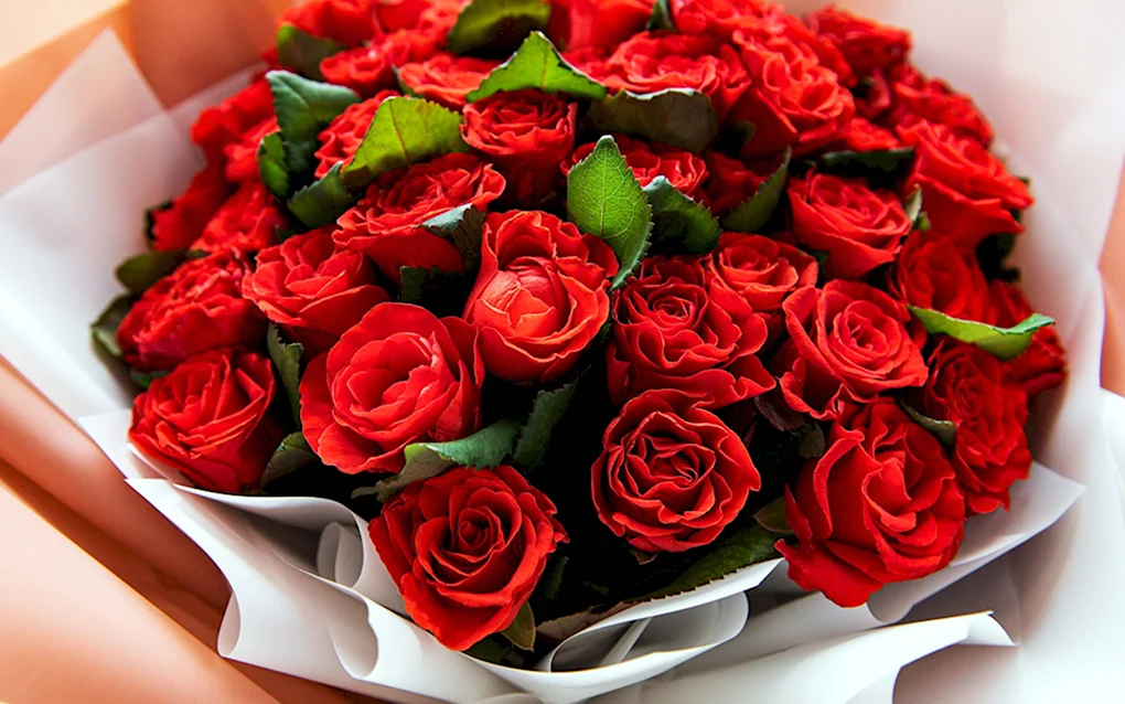 Rose Red Bouquet красные розы
