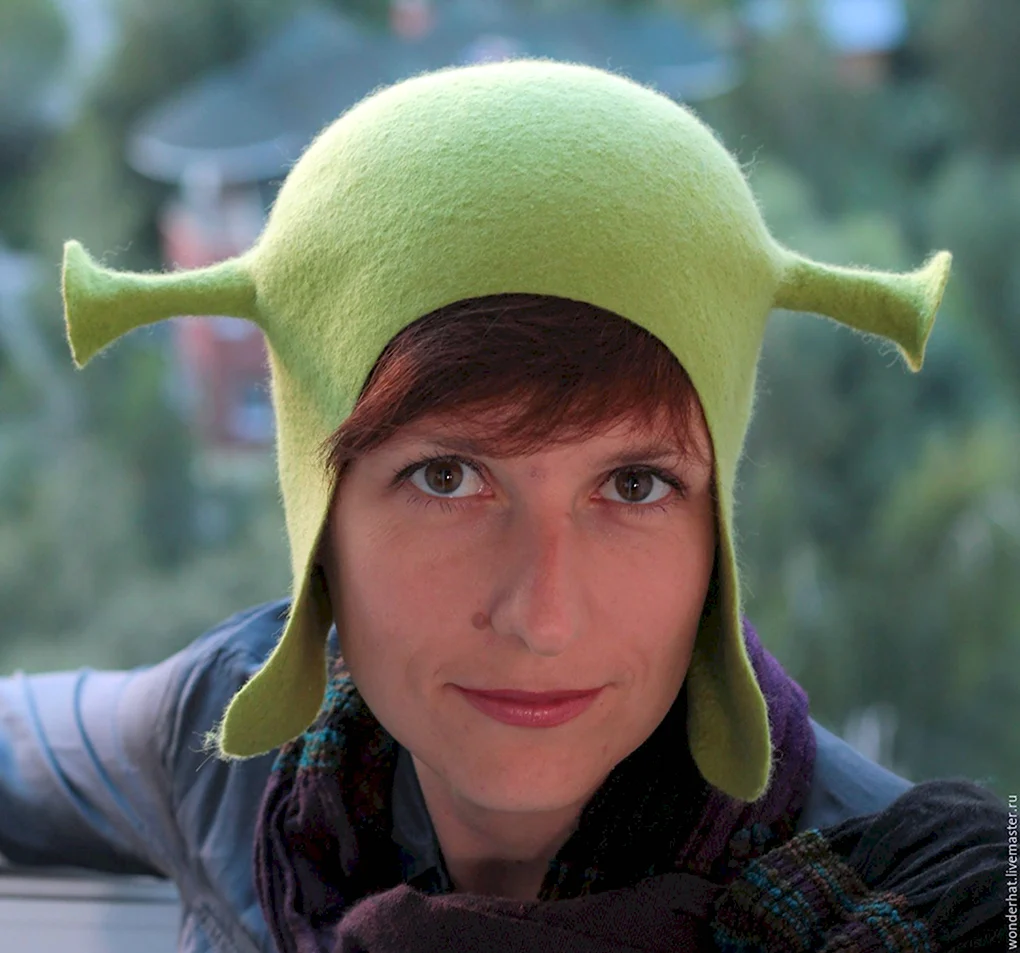 Shrek terzo шапка