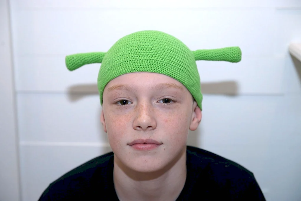 Shrek terzo шапка