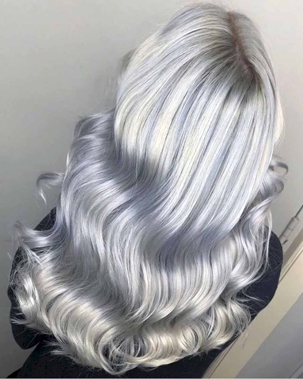 Сильвер блонд Silver blond