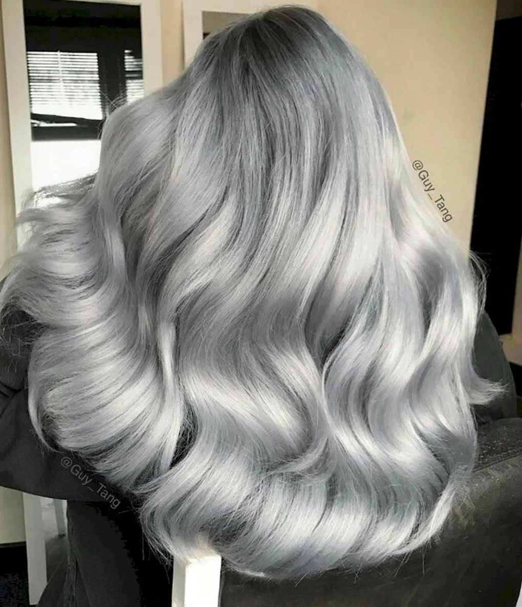 Сильвер грей Silver Gray