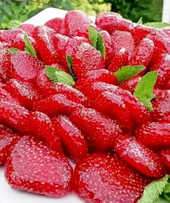 Цукаты из клубники