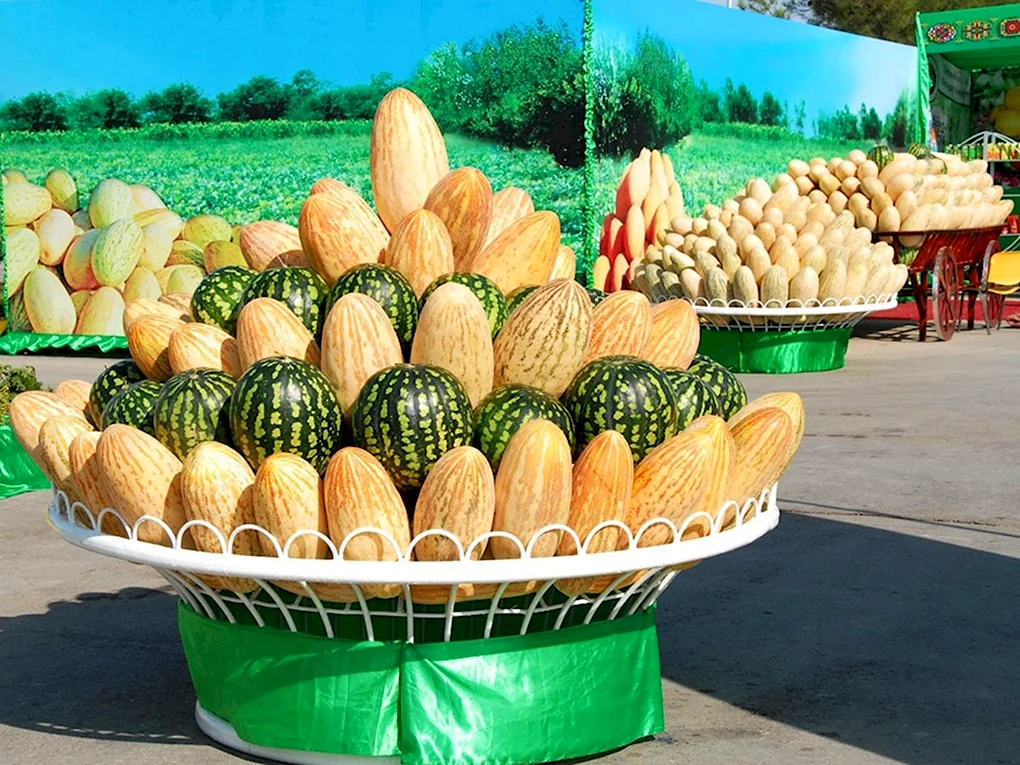 Туркменистандыни бахчи