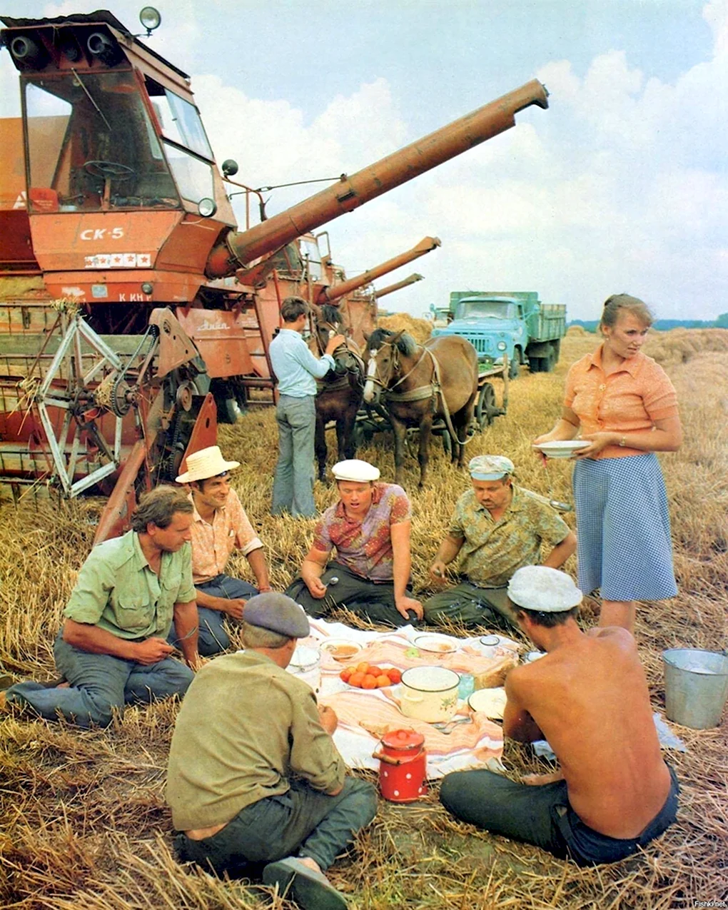 Уборка урожая