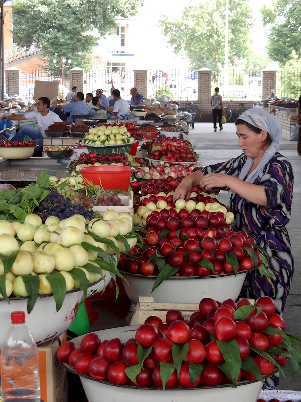 Узбекистан мева БОЗОРИ