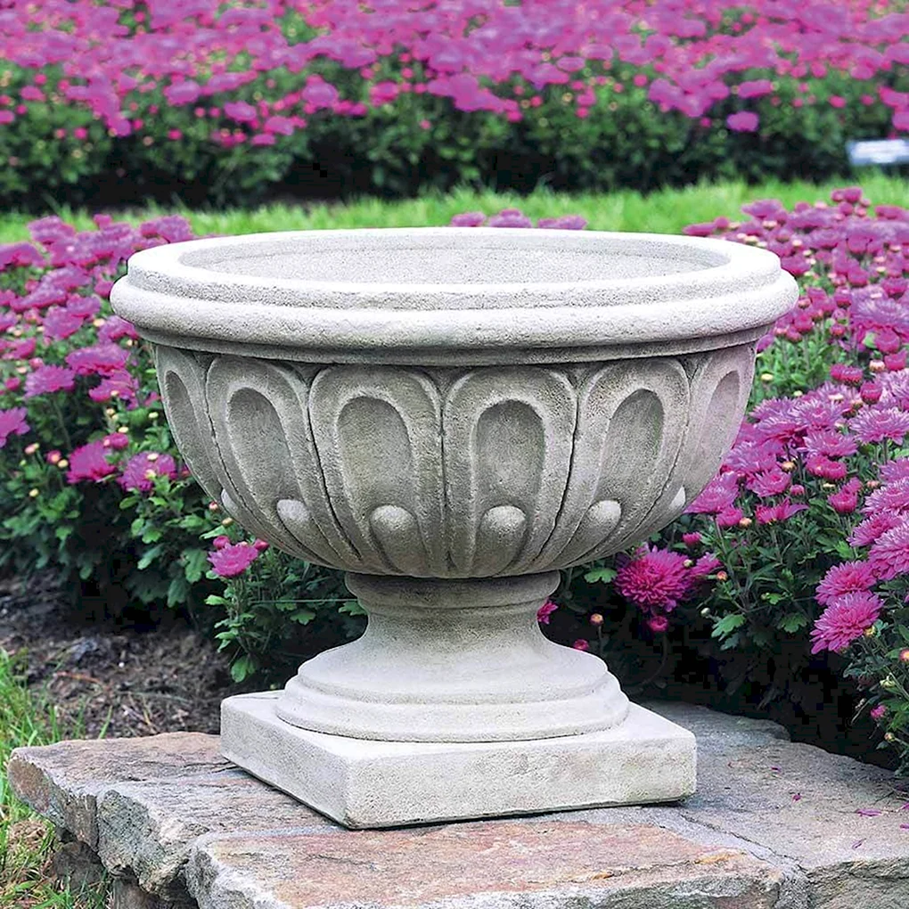 Вазон Акант Dominican Garden
