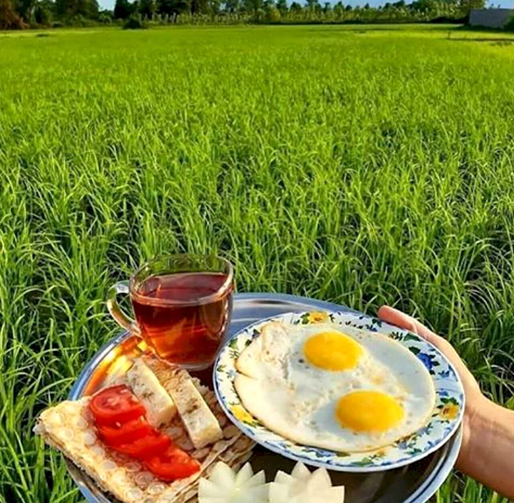 Завтрак на природе